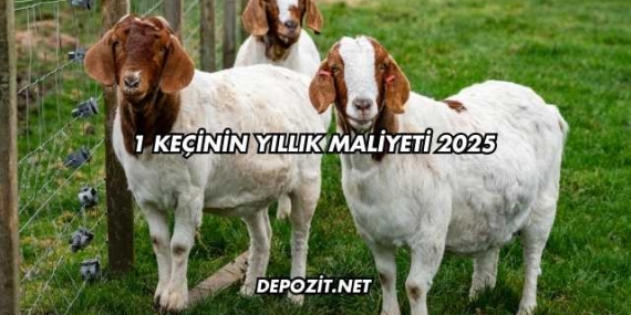 1 Keçinin Yıllık Maliyeti 2025