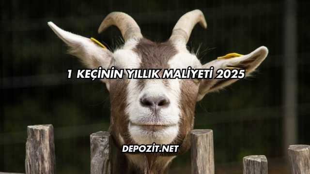 1 Keçinin Yıllık Maliyeti 2025
