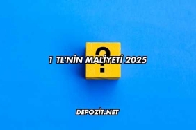 1 TL'nin Maliyeti 2025