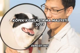 Köpek Kısırlaştırma Maliyeti 2025