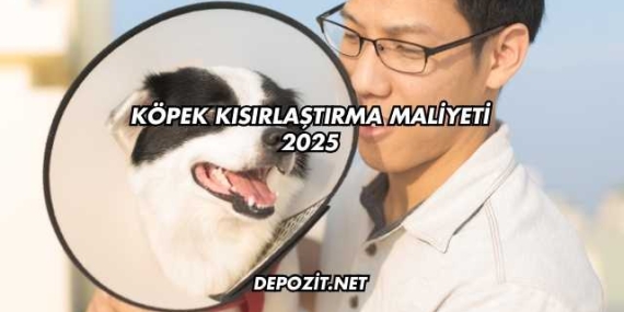 Köpek Kısırlaştırma Maliyeti 2025