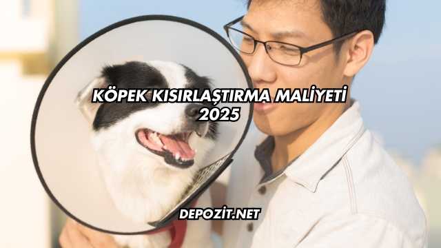 Köpek Kısırlaştırma Maliyeti 2025