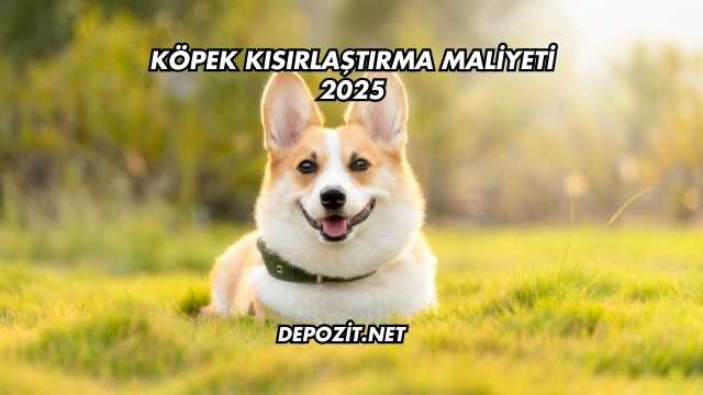 Köpek Kısırlaştırma Maliyeti 2025