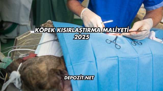 Köpek Kısırlaştırma Maliyeti 2025