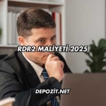 RDR2 Maliyeti 2025